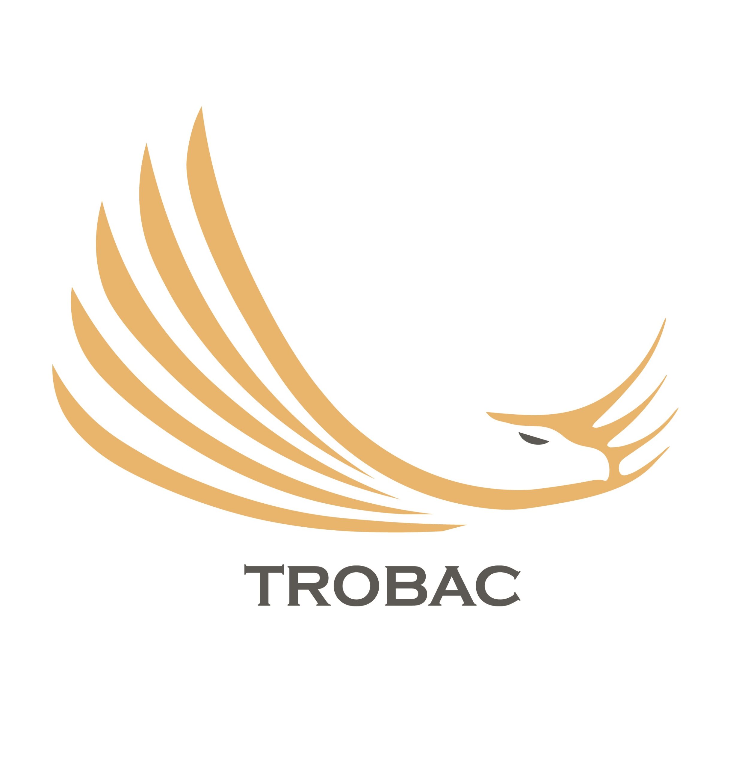 Trobac IT – ConsuItoría & Tecnología